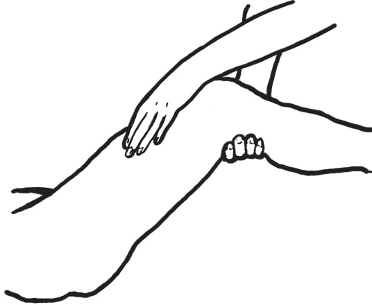 Иллюстрация к книге — Энциклопедия массажа [i_027.jpg]