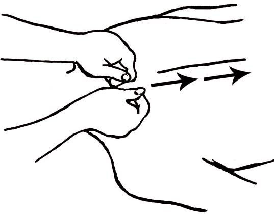 Иллюстрация к книге — Энциклопедия массажа [i_030.jpg]