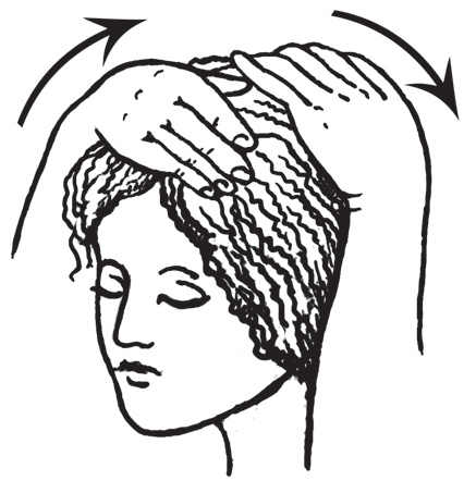 Иллюстрация к книге — Энциклопедия массажа [i_036.jpg]