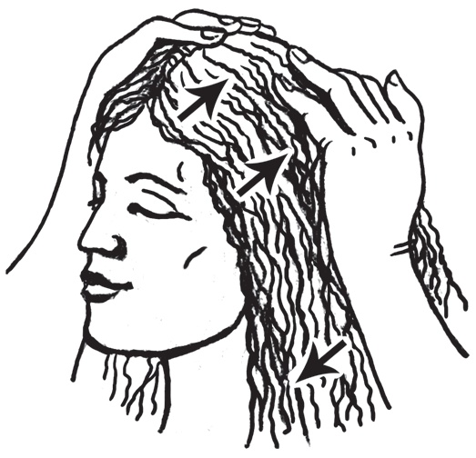 Иллюстрация к книге — Энциклопедия массажа [i_042.jpg]