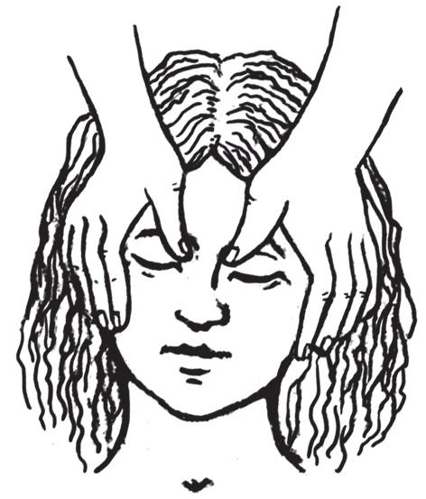 Иллюстрация к книге — Энциклопедия массажа [i_044.jpg]