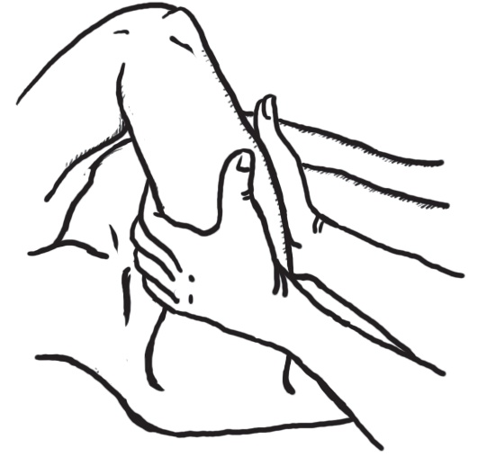 Иллюстрация к книге — Энциклопедия массажа [i_048.jpg]