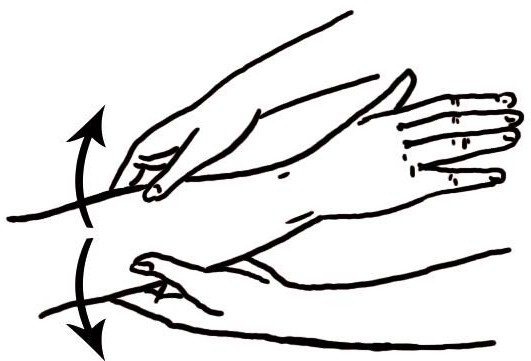 Иллюстрация к книге — Энциклопедия массажа [i_051.jpg]