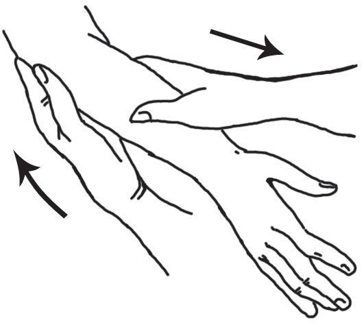 Иллюстрация к книге — Энциклопедия массажа [i_052.jpg]