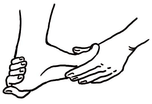 Иллюстрация к книге — Энциклопедия массажа [i_054.jpg]