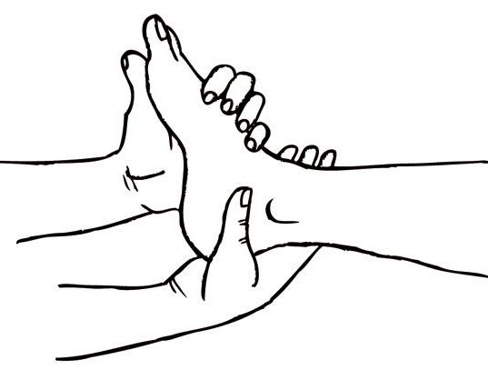 Иллюстрация к книге — Энциклопедия массажа [i_056.jpg]