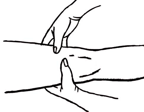 Иллюстрация к книге — Энциклопедия массажа [i_057.jpg]