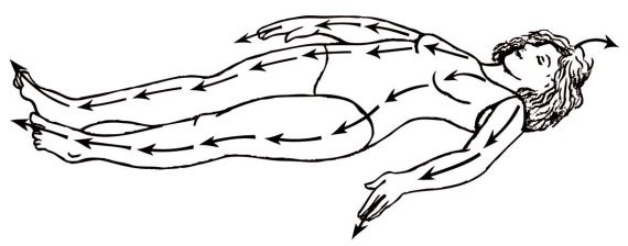 Иллюстрация к книге — Энциклопедия массажа [i_059.jpg]