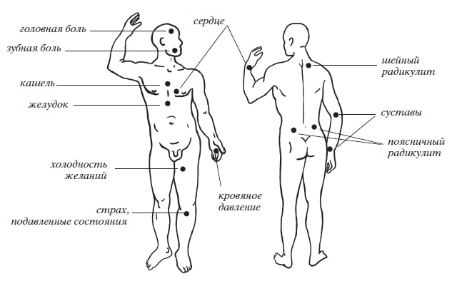 Иллюстрация к книге — Энциклопедия массажа [i_060.jpg]
