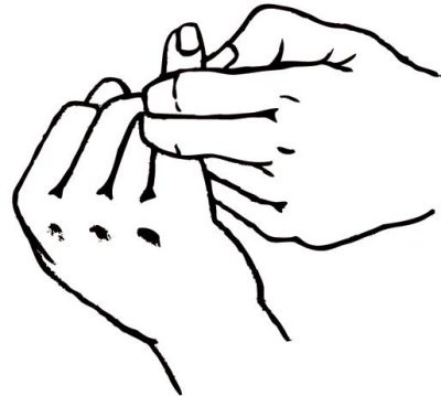 Иллюстрация к книге — Энциклопедия массажа [i_063.jpg]