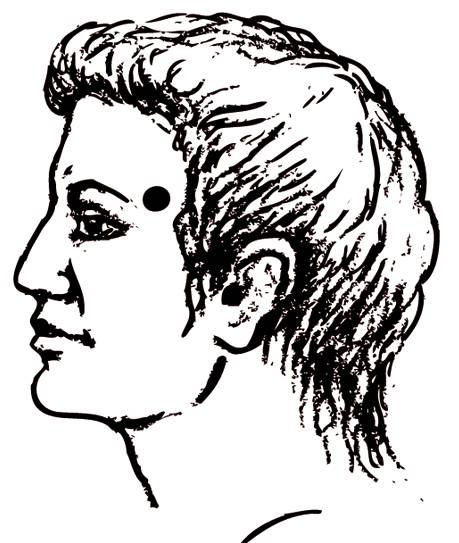 Иллюстрация к книге — Энциклопедия массажа [i_066.jpg]