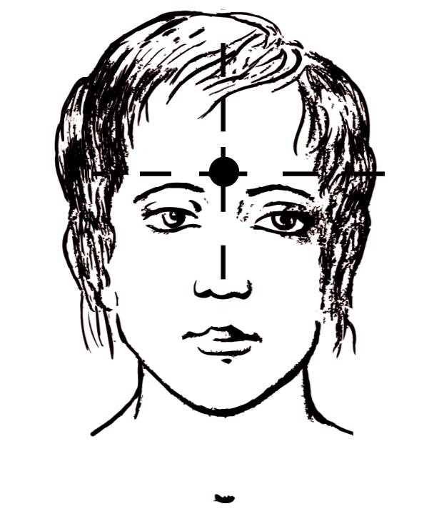 Иллюстрация к книге — Энциклопедия массажа [i_069.jpg]