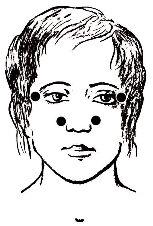 Иллюстрация к книге — Энциклопедия массажа [i_070.jpg]