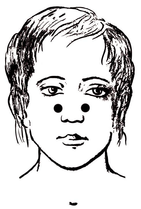 Иллюстрация к книге — Энциклопедия массажа [i_074.jpg]