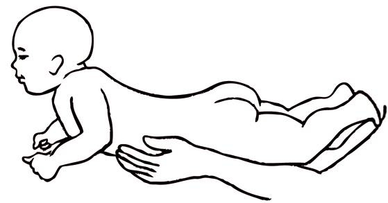 Иллюстрация к книге — Энциклопедия массажа [i_081.jpg]