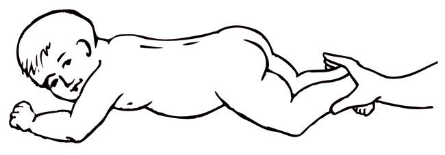 Иллюстрация к книге — Энциклопедия массажа [i_085.jpg]