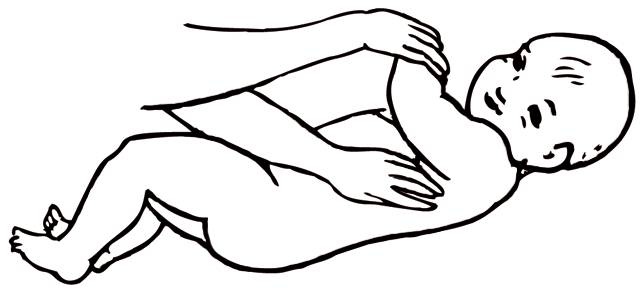 Иллюстрация к книге — Энциклопедия массажа [i_090.jpg]