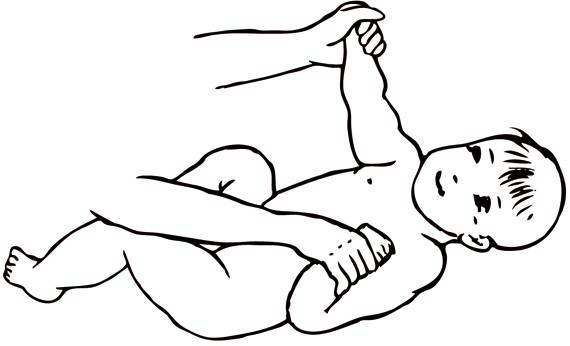 Иллюстрация к книге — Энциклопедия массажа [i_091.jpg]