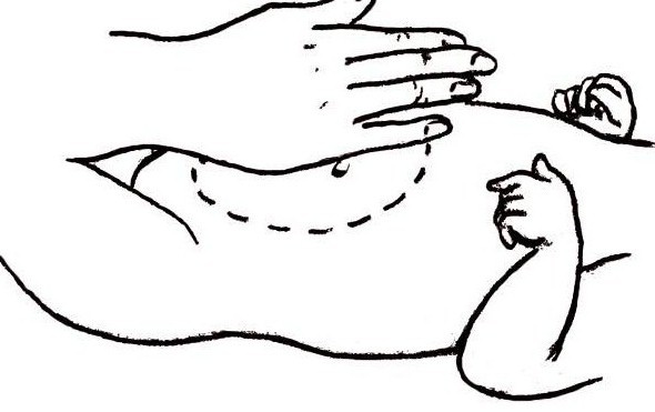 Иллюстрация к книге — Энциклопедия массажа [i_100.jpg]