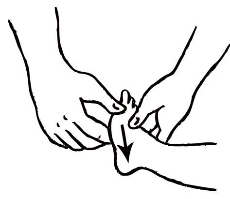 Иллюстрация к книге — Энциклопедия массажа [i_107.jpg]