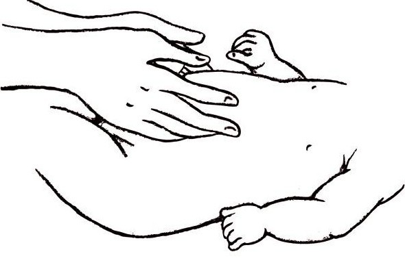 Иллюстрация к книге — Энциклопедия массажа [i_110.jpg]