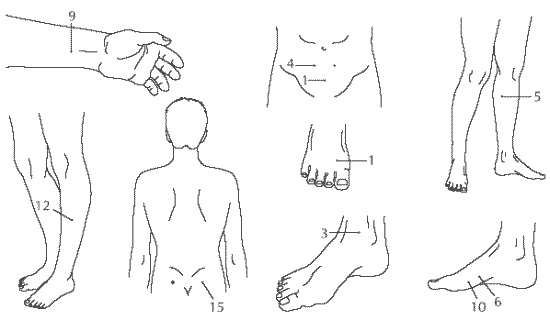 Иллюстрация к книге — Здоровье мужчины после сорока [i_003.jpg]