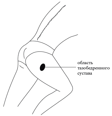 Иллюстрация к книге — Экстренная помощь при травмах, болевых шоках и воспалениях. Опыт работы в чрезвычайных ситуациях [_102.jpg]