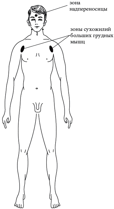 Иллюстрация к книге — Экстренная помощь при травмах, болевых шоках и воспалениях. Опыт работы в чрезвычайных ситуациях [_216.jpg]