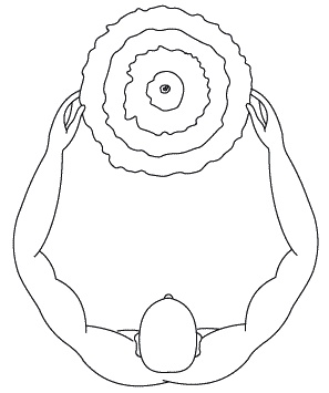 Иллюстрация к книге — Экстренная помощь при травмах, болевых шоках и воспалениях. Опыт работы в чрезвычайных ситуациях [_243.jpg]