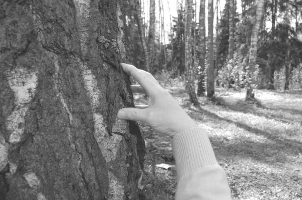 Иллюстрация к книге — Экстренная помощь при травмах, болевых шоках и воспалениях. Опыт работы в чрезвычайных ситуациях [_247f.jpg]