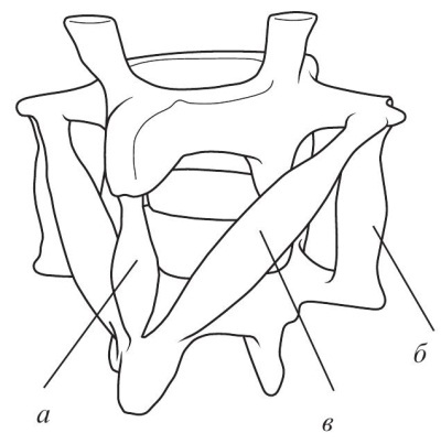Иллюстрация к книге — Остеохондроз [Autogen_eBook_id17.jpg]