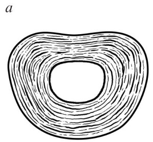 Иллюстрация к книге — Остеохондроз [Autogen_eBook_id18.jpg]