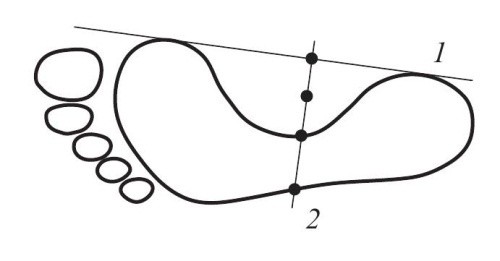 Иллюстрация к книге — Остеохондроз [Autogen_eBook_id58.jpg]