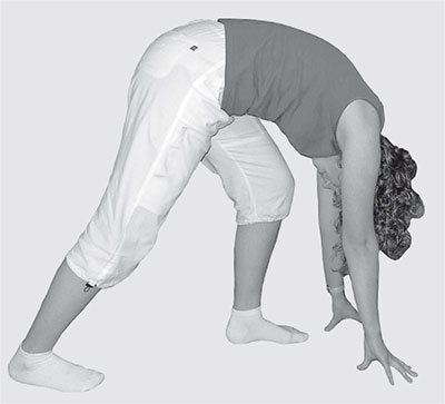 Иллюстрация к книге — Здоровье вашего позвоночника [i_011.jpg]