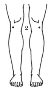 Иллюстрация к книге — Здоровье без таблеток. Натуральные заменители химических лекарств [i_003.jpg]