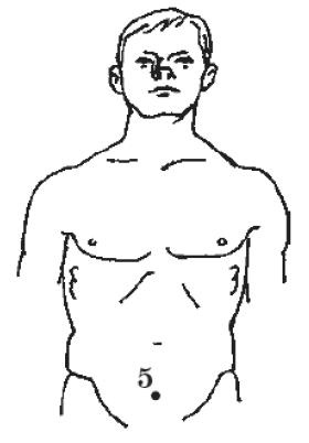 Иллюстрация к книге — Здоровье без таблеток. Натуральные заменители химических лекарств [i_006.jpg]