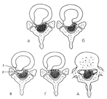Иллюстрация к книге — Здоровье без таблеток. Натуральные заменители химических лекарств [i_010.jpg]