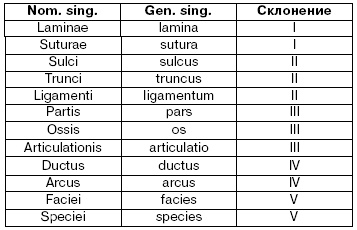 Иллюстрация к книге — Латинский язык для медиков. Конспект лекций [i_007.jpg]
