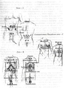 Иллюстрация к книге — Энергетическая медицина [_08.jpg]