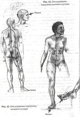 Иллюстрация к книге — Энергетическая медицина [_15.jpg]