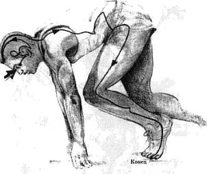 Иллюстрация к книге — Энергетическая медицина [_17.jpg]