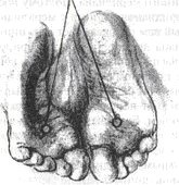 Иллюстрация к книге — Энергетическая медицина [_22.jpg]