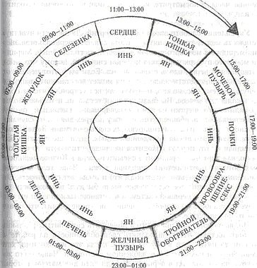 Иллюстрация к книге — Энергетическая медицина [_37.jpg]