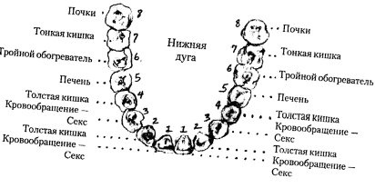 Иллюстрация к книге — Энергетическая медицина [_55.jpg]