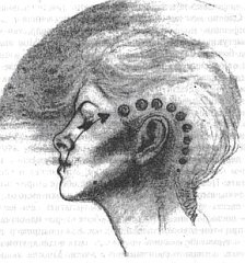 Иллюстрация к книге — Энергетическая медицина [_62.jpg]