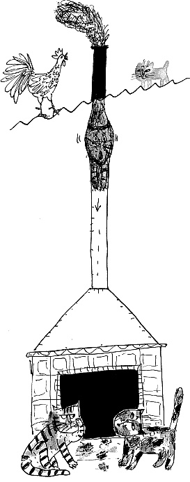 Иллюстрация к книге — Коты, призраки и одна бабушка [_08_2.jpg]