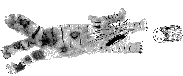 Иллюстрация к книге — Коты, призраки и одна бабушка [_28.jpg]