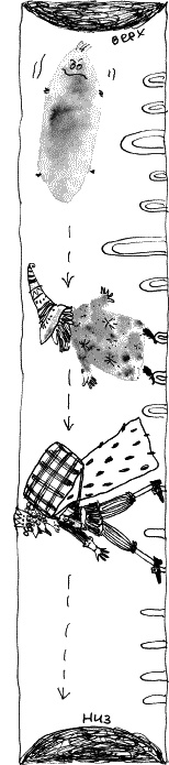 Иллюстрация к книге — Коты, призраки и одна бабушка [_43.jpg]