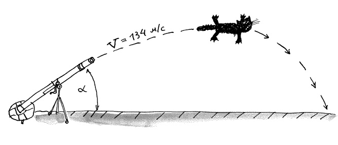 Иллюстрация к книге — Коты, призраки и одна бабушка [_50.jpg]
