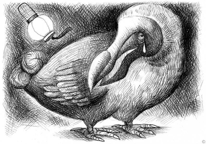 Иллюстрация к книге — Девочка, которая провалилась в Волшебное Подземелье и утащила с собой Развеселье [i_009.jpg]